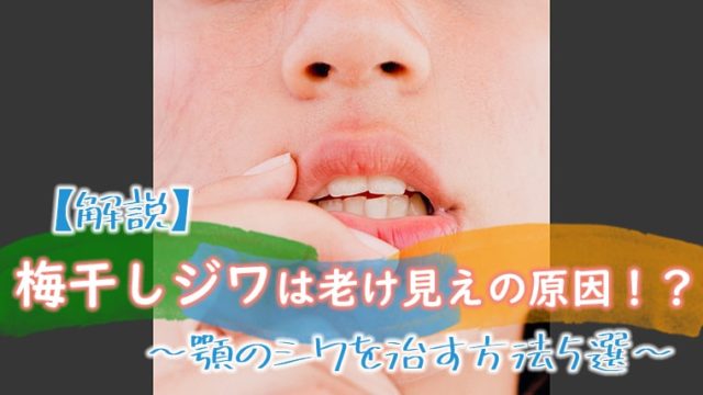 老け見え 鼻のくしゃくしゃジワを撃退 鼻のシワの取り方6選 キレイな女の教科書 Bibible