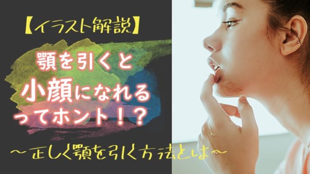 原因別 小顔は食べ物で作れる 顔を引き締める食べ物8選 キレイな女の教科書 Bibible