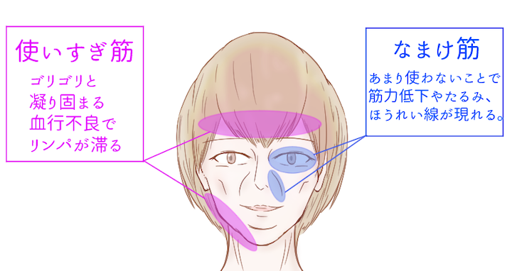 禁煙したらほうれい線が消えた タバコが肌に与える影響がヤバいw キレイな女の教科書 Bibible